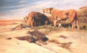 Lowenpaar In Der Savanne by Wilhelm Friedrich Kuhnert