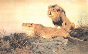 Lion And Lioness On A Rocky Outcrop