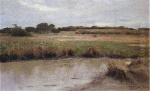 Landschaft Mit Wasserstelle Zwischen Dem Kleinen Und Grosen Ruaha (tansania)