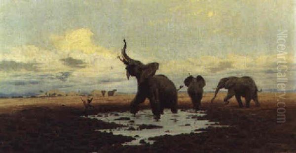 Elephants At A Watering Hole - view 1
