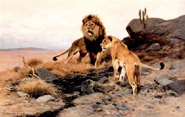 African Lions - view 1