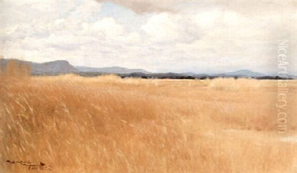 African Veldt - view 1