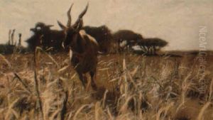 Galoppierende Gazelle In Der Savanne by Wilhelm Friedrich Kuhnert