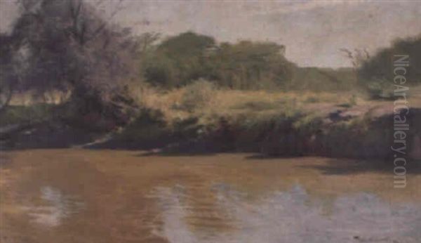 African River Landscapes - view 1