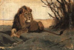A Lion Resting by Wilhelm Friedrich Kuhnert