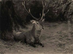 Ein Lagernder Hirsch by Wilhelm Friedrich Kuhnert