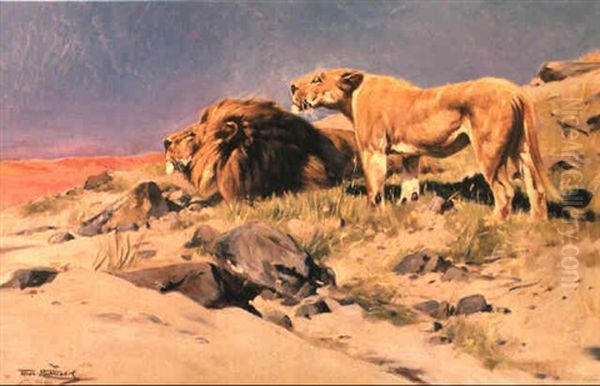 Robbers Of The Desert - view 1