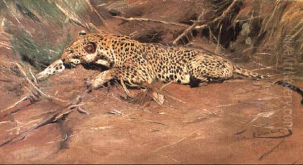 Ein Leopard - view 1