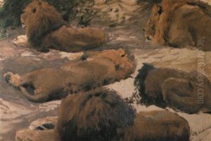Studies Of A Lion by Wilhelm Friedrich Kuhnert
