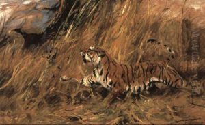 Tiger And Peacock