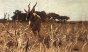 An Antelope In The Savannah