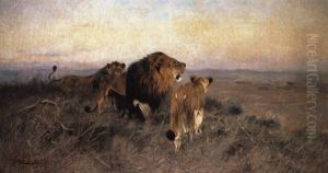 Lowen In Der Savanne by Wilhelm Friedrich Kuhnert