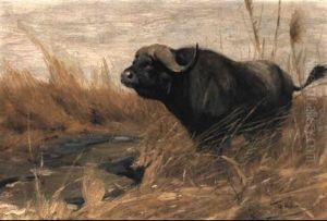 Buffalo In A Field by Wilhelm Friedrich Kuhnert