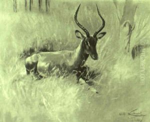 Resting Gazelle by Wilhelm Friedrich Kuhnert