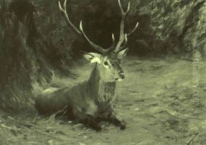 Resting Stag by Wilhelm Friedrich Kuhnert