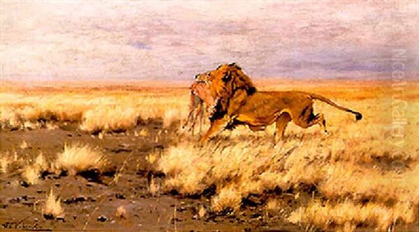 Lion With Its Kill - view 1