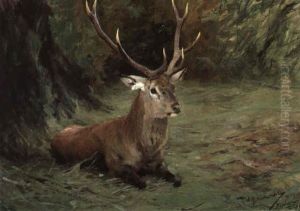 Ruhender Hirsch by Wilhelm Friedrich Kuhnert
