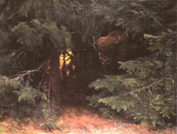 Wisent Im Urwald - view 1