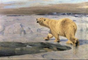Polar Bear