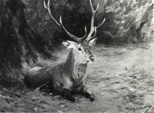 Deer In A Landscape