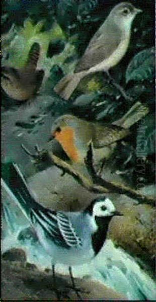 Studien Einheimischer Vogelarten - view 1