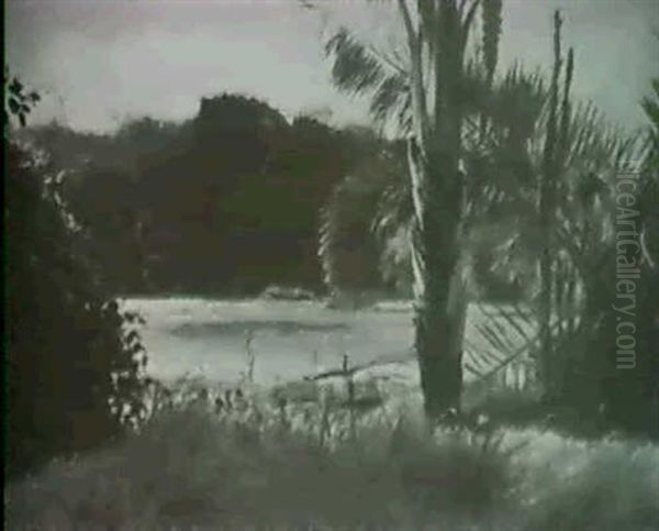 Afrikanische Flusslandschaft - view 1