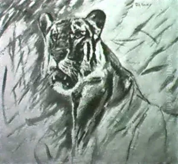 Kopf Eines Tigers - view 1
