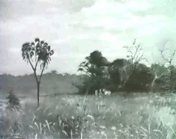 Kopf Eines Tigers - view 1