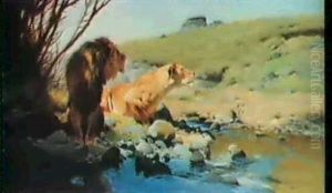 A Lion And Lioness At A Stream by Wilhelm Friedrich Kuhnert