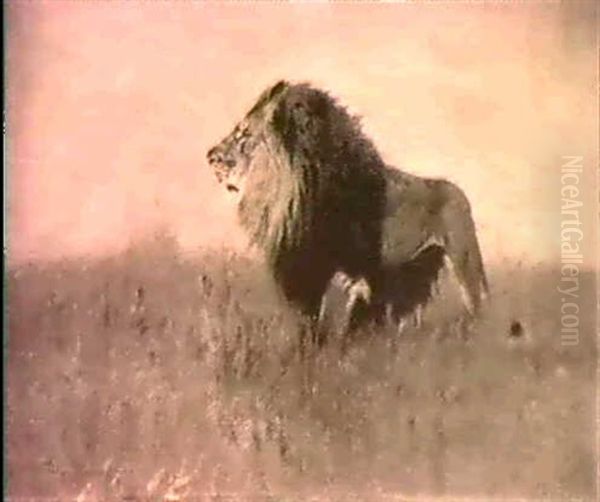 King Of The Jungle - A Study - view 1
