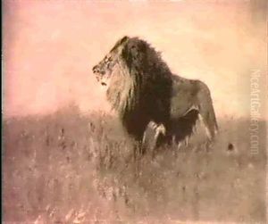 King Of The Jungle - A Study by Wilhelm Friedrich Kuhnert