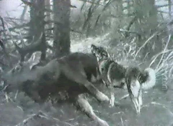 Erlegter Bialowieshirsch - view 1