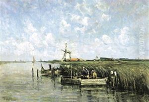 Polderlandschap In De Zomer