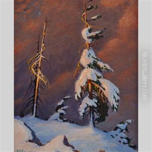 Snow-laden Windswept Pine by George Arthur Kulmala