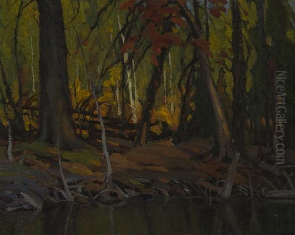 Forest Scene - view 1