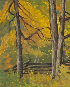 Trees And Fence