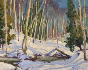Sunlight On The Snow