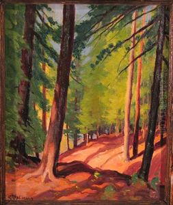 Sunlight Shadows by George Arthur Kulmala