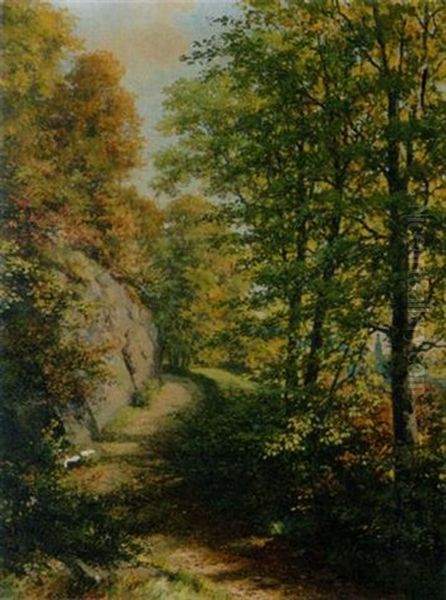 Herbstlicher Waldweg (am Monchsberg) - view 1