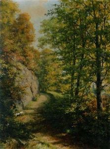 Herbstlicher Waldweg (am Monchsberg)