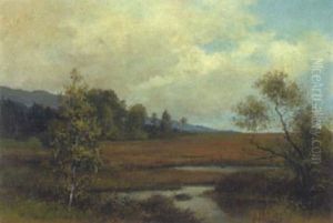 Moorlandschaft Bei Salzburg