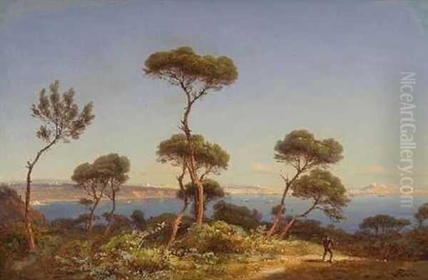 Sudliche Kustenlandschaft (dalmatien?) - view 1