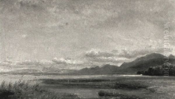 Ansicht Des Chiemsees - view 1