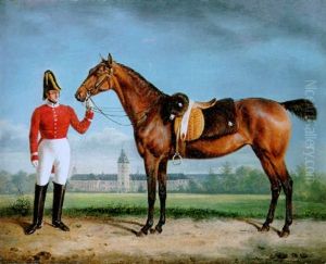 Ein Pferd Aus Dem Grossherzoglichen Badischen Marstall, Von Einem Bereiter Gefuhrt, Im Hintergrund Das Karlsruher Residenzschloss Ein Pferd Aus Dem Grossherzoglichen Badischen Marstall, Von Einem Bereiter Gefuhrt, Im Hintergrund Das Karlsruher Residenzschloss