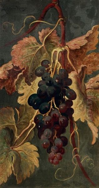 Stilleben Mit Weinrebe - view 1