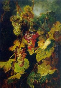 Trauben Und Weinlaub Im Abendlichen Licht Trauben Und Weinlaub Im Abendlichen Licht