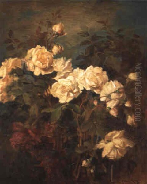 Rosenstilleben - view 1