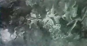 Stilleben Mit Weintrauben Stilleben Mit Weintrauben