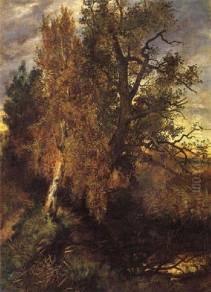Herbstliche Moorlandschaft - view 1