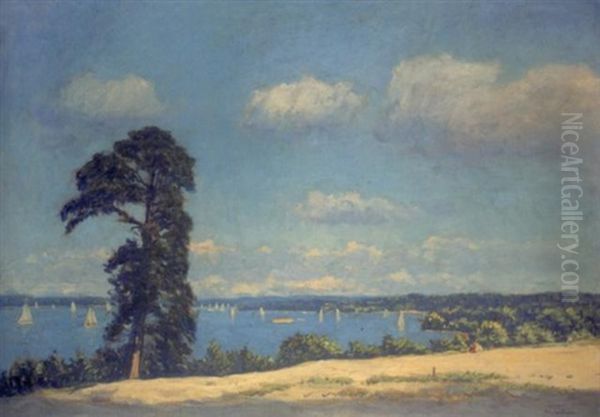 Sommertag Am Wannsee - view 1